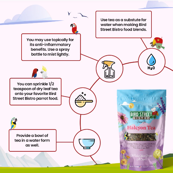 Parrot Food Super-Pack - Tampa Home & Garden Store