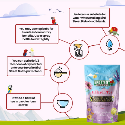Parrot Food Super-Pack - Tampa Home & Garden Store