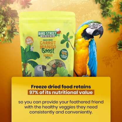 Parrot Food Super-Pack - Tampa Home & Garden Store