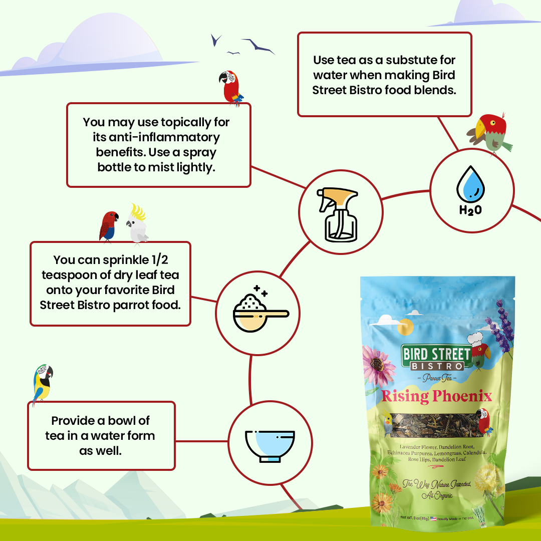 Parrot Tea Bundle Pack - Tampa Home & Garden Store