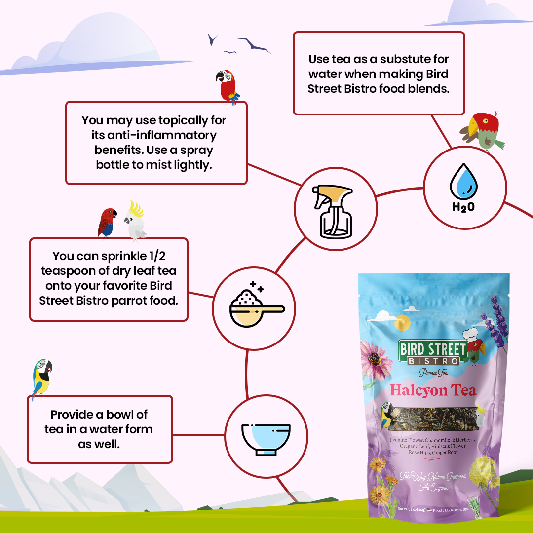 Parrot Tea Bundle Pack - Tampa Home & Garden Store