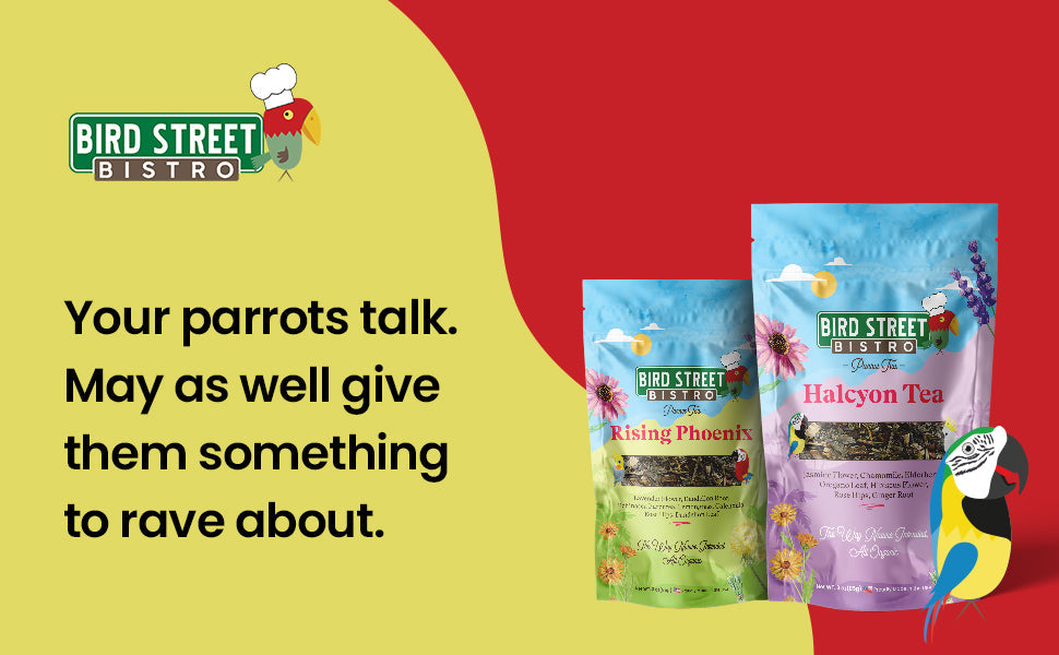 Parrot Tea Bundle Pack - Tampa Home & Garden Store