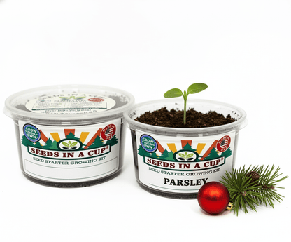 Parsley Grow Kit - Tampa Home & Garden Store