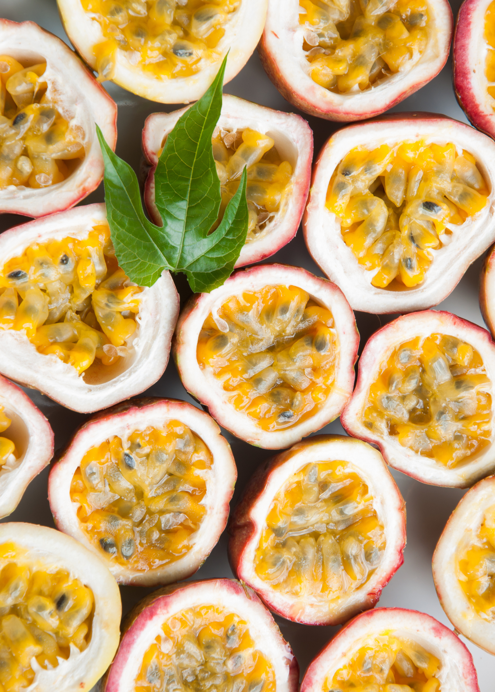 Passion Fruit 'Panama Red' (Passiflora edulis) - Tampa Home & Garden Store