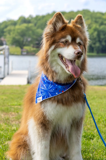 Patriotic Dog Bandana - Tampa Home & Garden Store