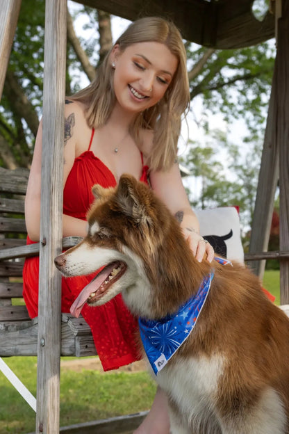 Patriotic Dog Bandana - Tampa Home & Garden Store