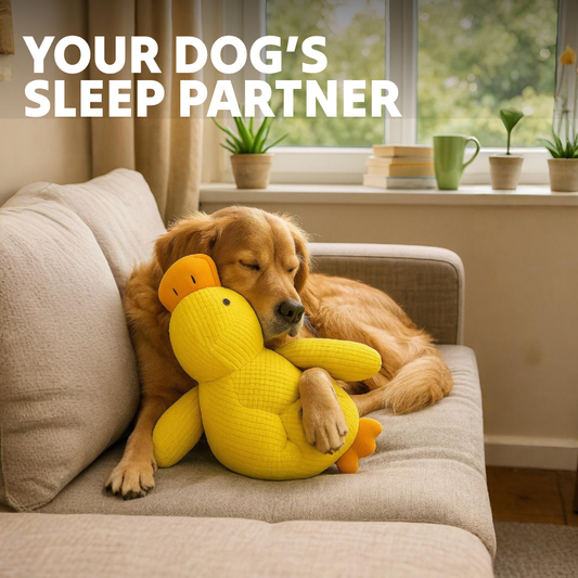 Paw Bounds™ Durable Calming Duck - Tampa Home & Garden Store