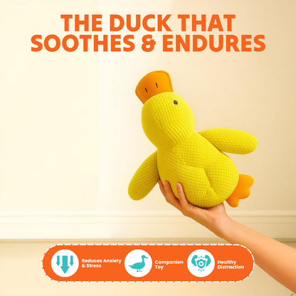 Paw Bounds™ Durable Calming Duck - Tampa Home & Garden Store