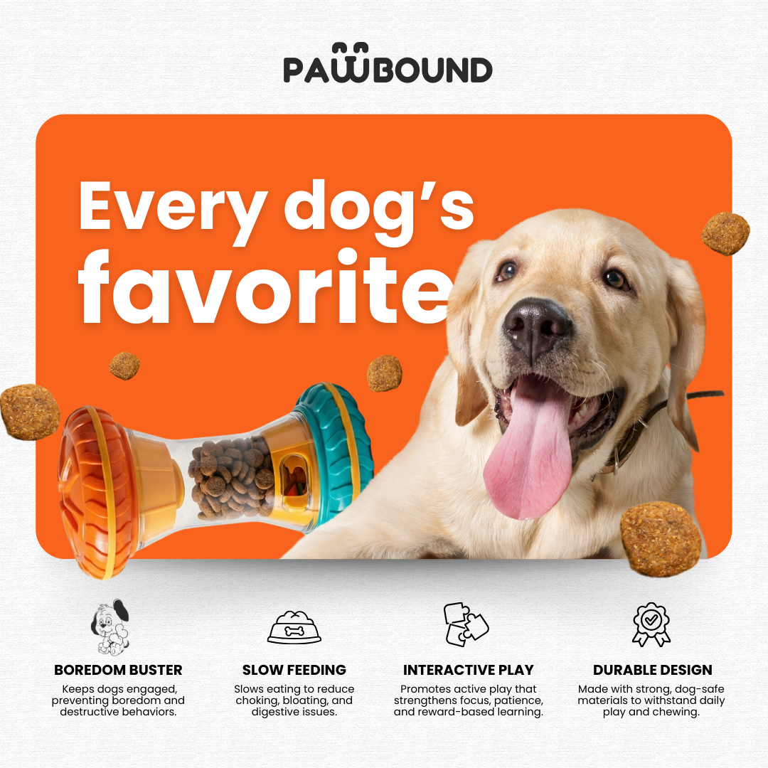 Paw Bounds™ Interactive Dog Puzzle Toy - Tampa Home & Garden Store
