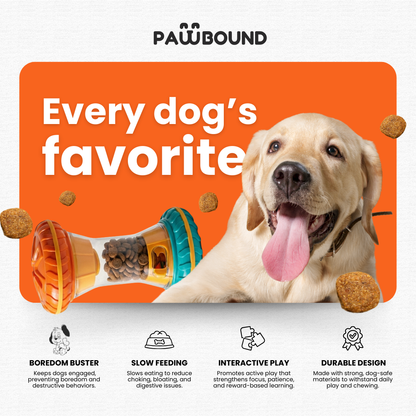 Paw Bounds™ Interactive Dog Puzzle Toy - Tampa Home & Garden Store