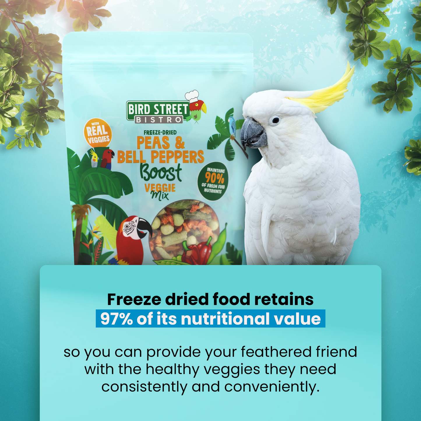 Peas & Bell Peppers Boost - Parrot Veggies Mix - Tampa Home & Garden Store