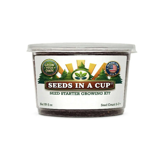 Pecan Tree Grow Kit - Tampa Home & Garden Store