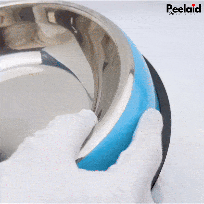 Peelaid™ Pastel Stainless Steel Pet Bowl - Tampa Home & Garden Store