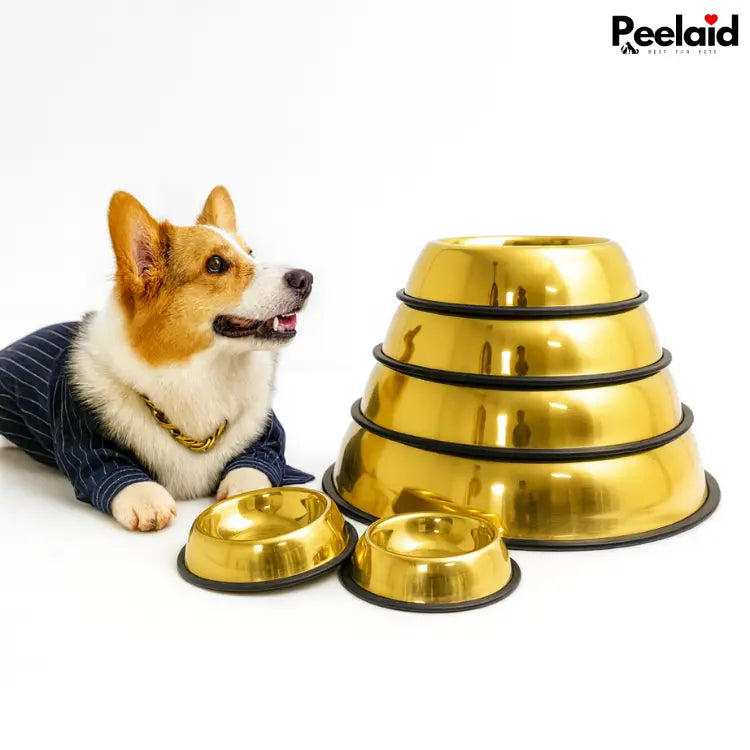 Peelaid™ Premium Gold Anti-Slip Pet Bowl - Tampa Home & Garden Store
