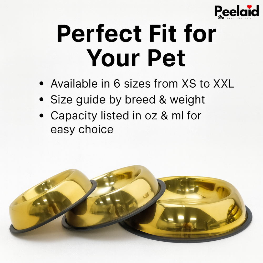 Peelaid™ Premium Gold Anti-Slip Pet Bowl - Tampa Home & Garden Store