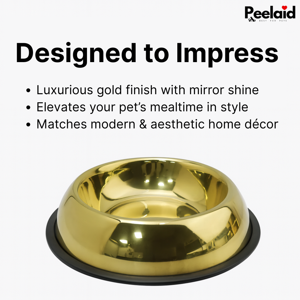 Peelaid™ Premium Gold Anti-Slip Pet Bowl - Tampa Home & Garden Store