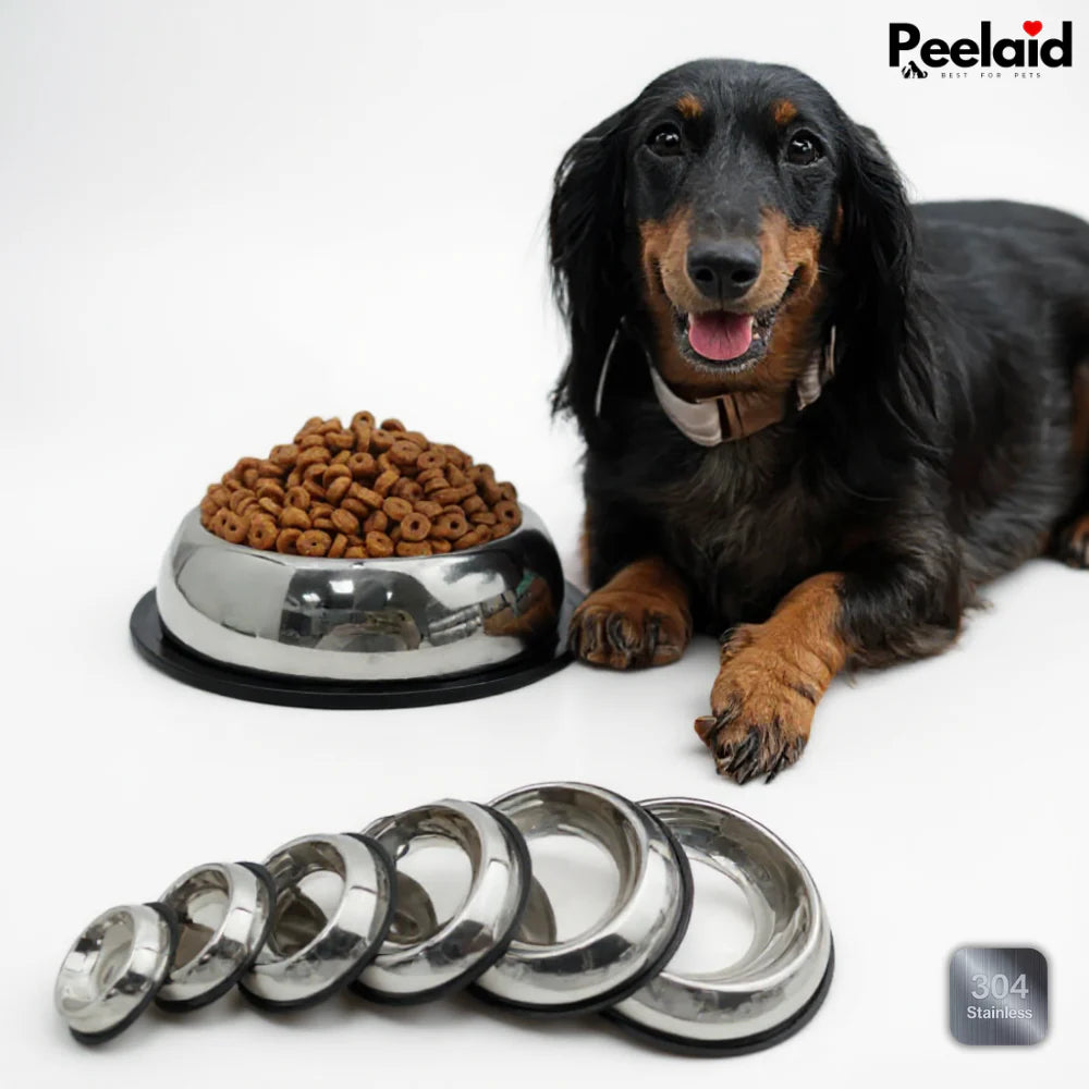 Peelaid™ Premium Stainless Steel Pet Bowl - Tampa Home & Garden Store