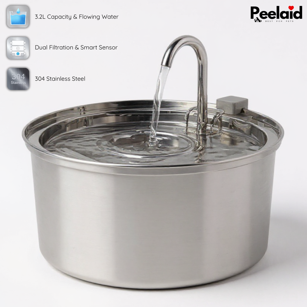 Peelaid™ SST Fountain - Tampa Home & Garden Store