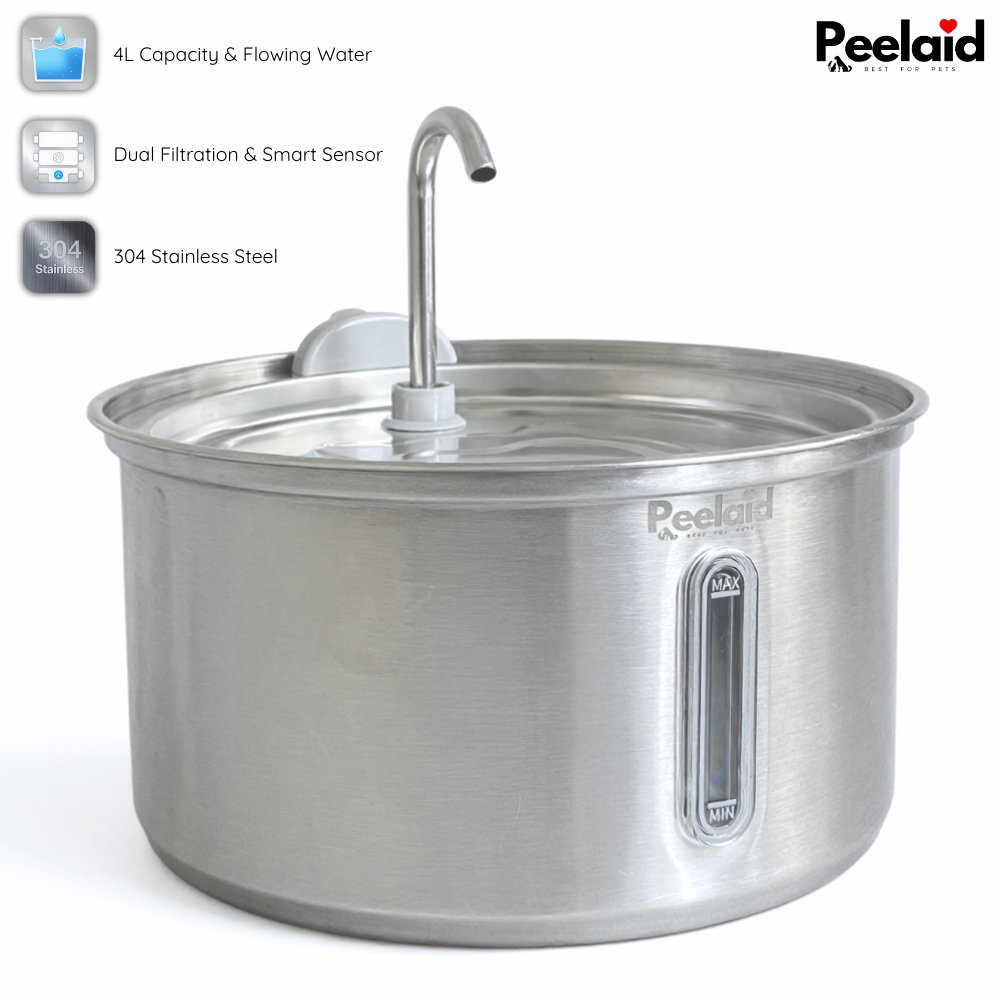 Peelaid™ SST Fountain WD - Tampa Home & Garden Store