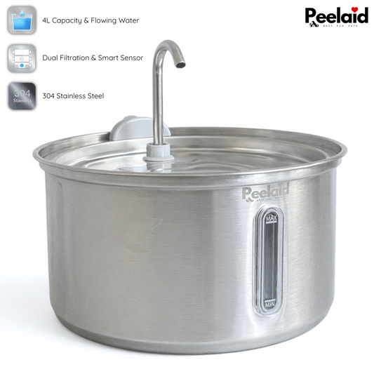 Peelaid™ SST Fountain WD - Tampa Home & Garden Store