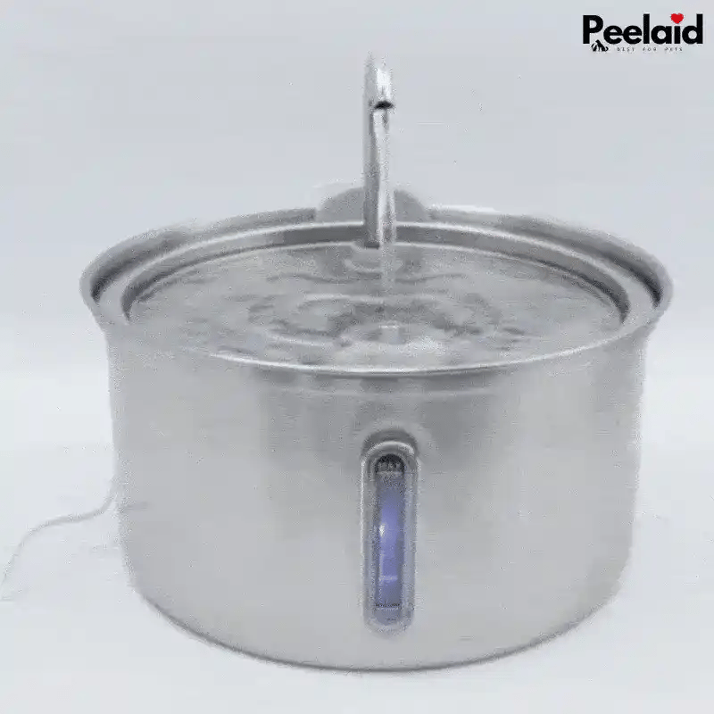 Peelaid™ SST Fountain WD - Tampa Home & Garden Store
