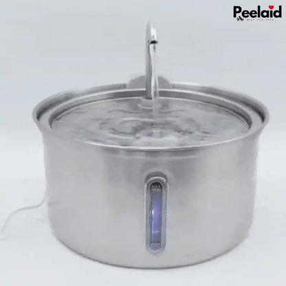 Peelaid™ SST Fountain WD - Tampa Home & Garden Store