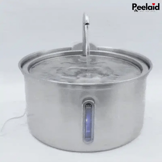 Peelaid™ SST Fountain WD - Tampa Home & Garden Store