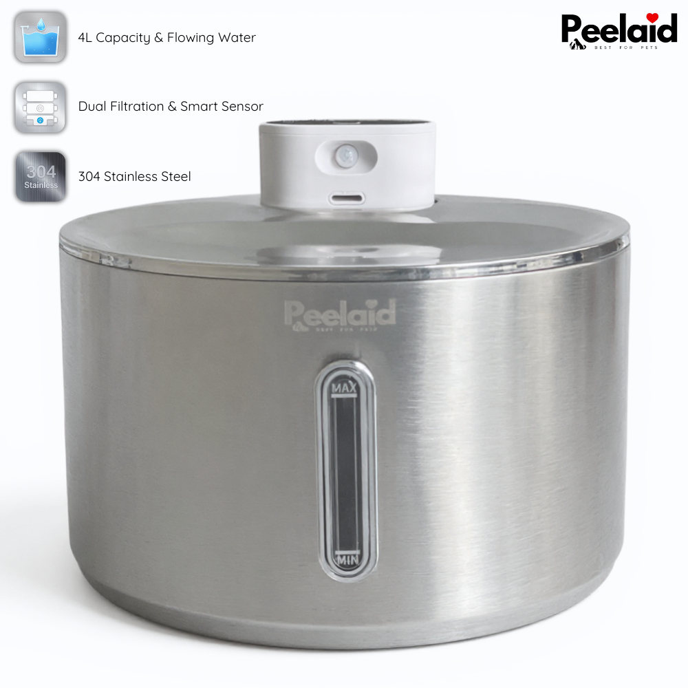 Peelaid™ SST Wireless Fountain - Tampa Home & Garden Store