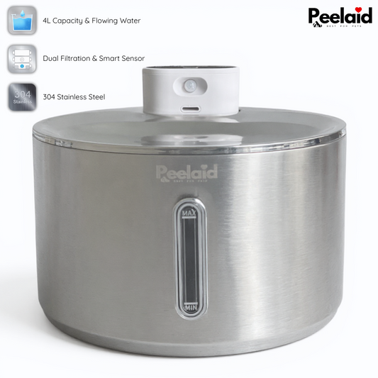 Peelaid™ SST Wireless Fountain - Tampa Home & Garden Store