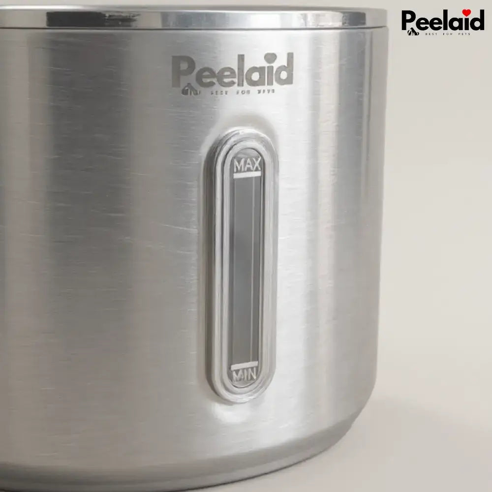 Peelaid™ SST Wireless Fountain - Tampa Home & Garden Store