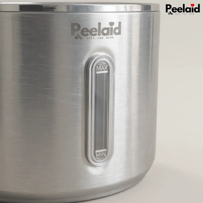 Peelaid™ SST Wireless Fountain - Tampa Home & Garden Store