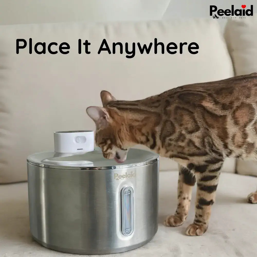 Peelaid™ SST Wireless Fountain - Tampa Home & Garden Store