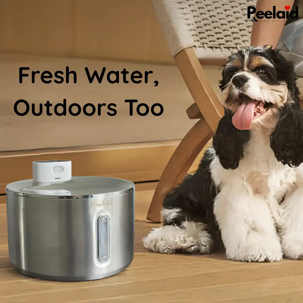 Peelaid™ SST Wireless Fountain - Tampa Home & Garden Store
