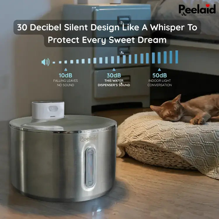 Peelaid™ SST Wireless Fountain - Tampa Home & Garden Store