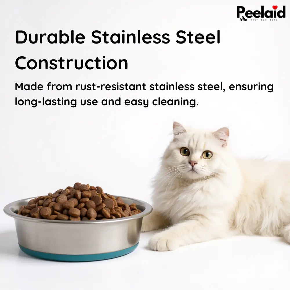 Peelaid™ Stainless Steel Anti-Slip Pet Bowl - Tampa Home & Garden Store