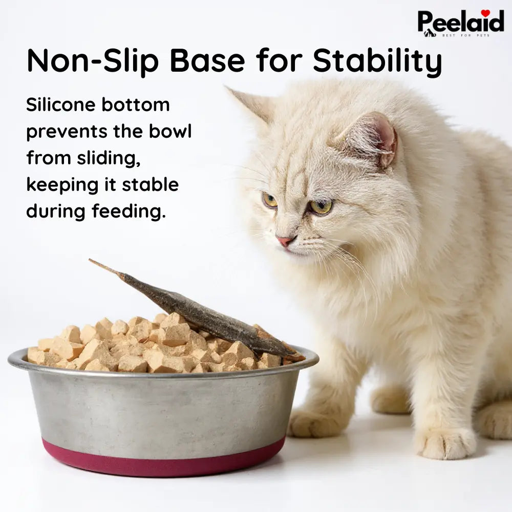 Peelaid™ Stainless Steel Anti-Slip Pet Bowl - Tampa Home & Garden Store