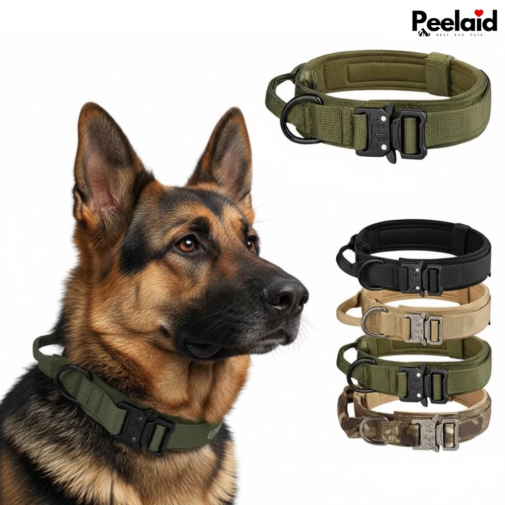 Peelaid™ Tactical Nylon Dog Collar with Metal Buckle - Tampa Home & Garden Store