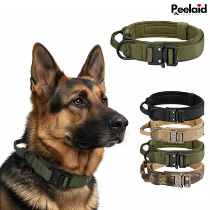 Peelaid™ Tactical Nylon Dog Collar with Metal Buckle - Tampa Home & Garden Store