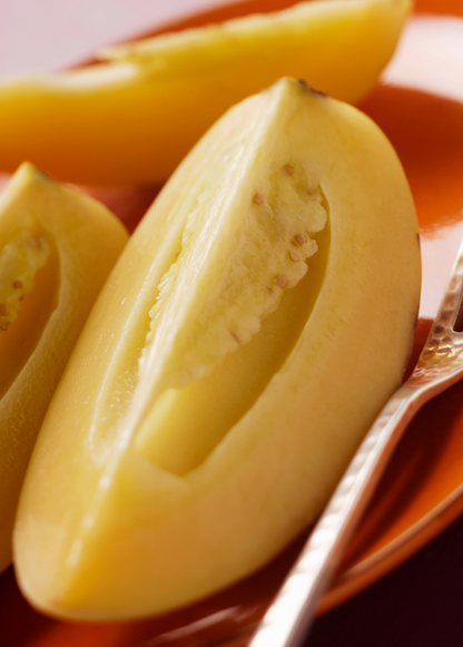 Pepino Dulce (Solanum muricatum) - Tampa Home & Garden Store