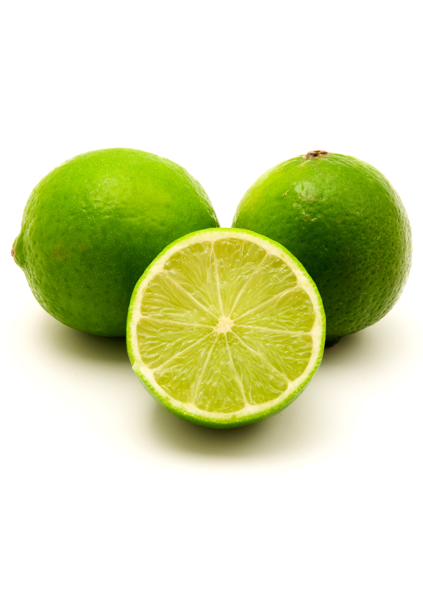Persian Lime Tree (Citrus × latifolia) - Tampa Home & Garden Store