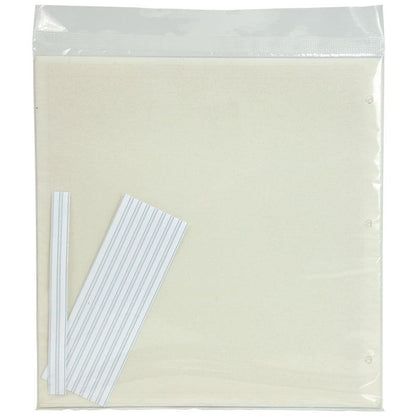 Pest Wizard Big Invisible Insect Trap 5-Pack - Tampa Home & Garden Store
