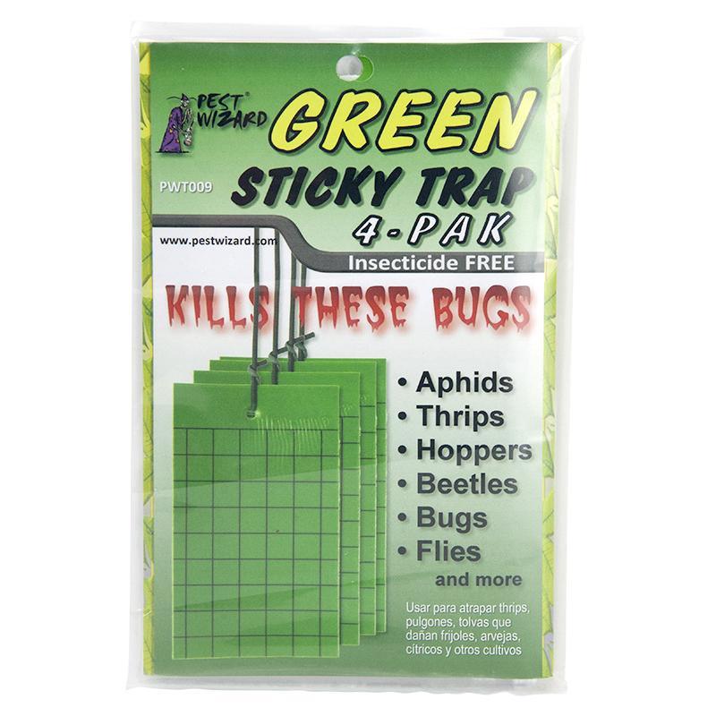 Pest Wizard Green Sticky Card Trap 4-Pack - Tampa Home & Garden Store