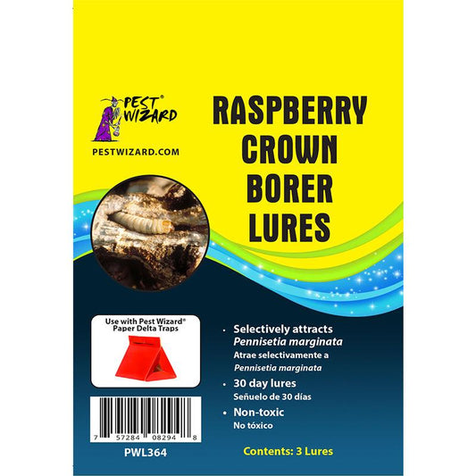 Pest Wizard Raspberry Crown Borer Lure 3-Pack - Tampa Home & Garden Store
