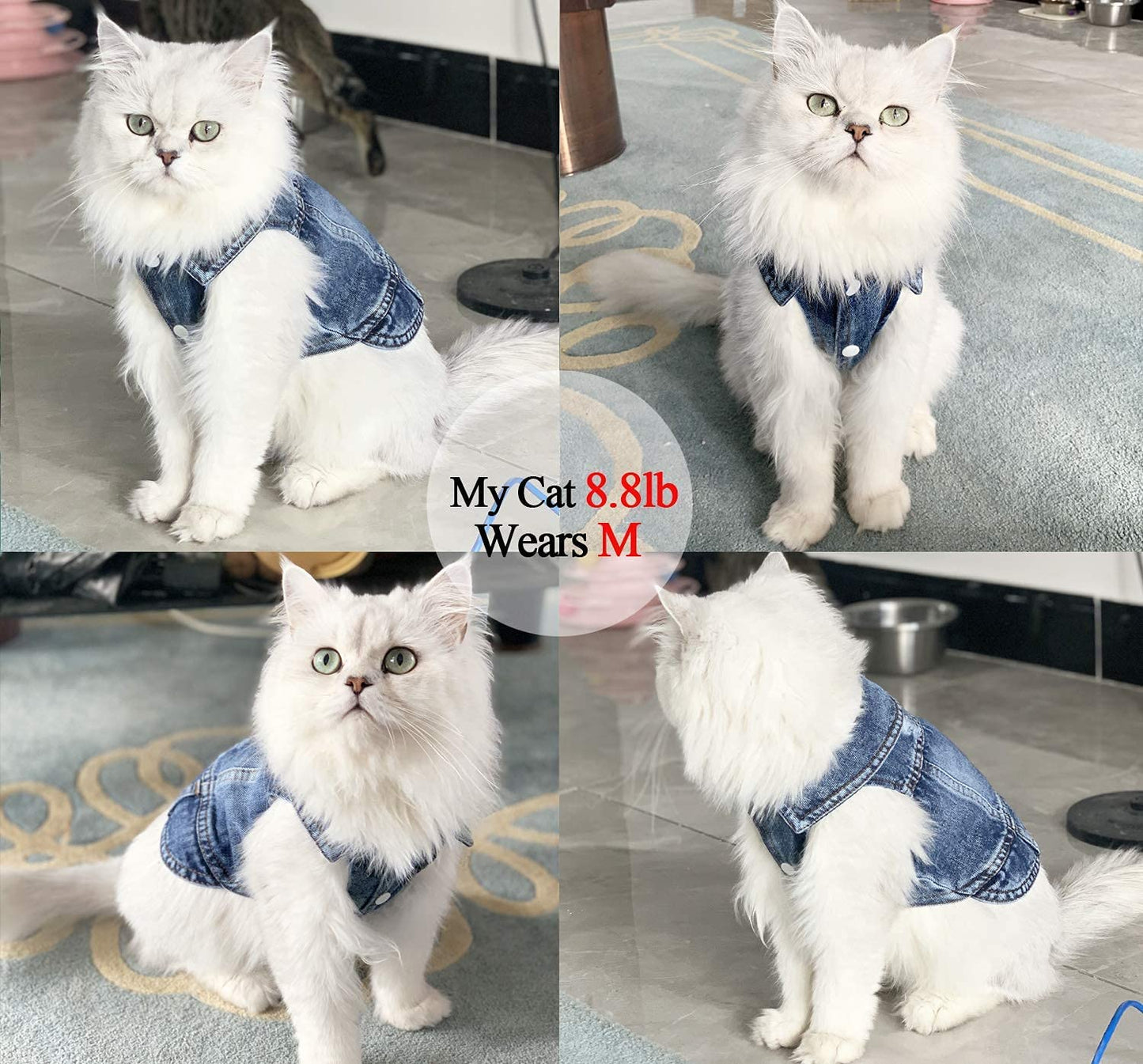 Pet Dog Cat Blue Denim Jeans Jacket Coat Vest - Tampa Home & Garden Store