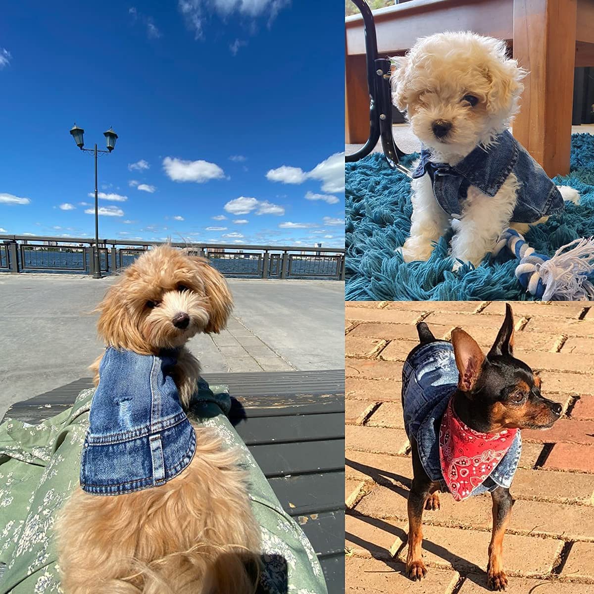 Pet Dog Cat Blue Denim Jeans Jacket Coat Vest - Tampa Home & Garden Store