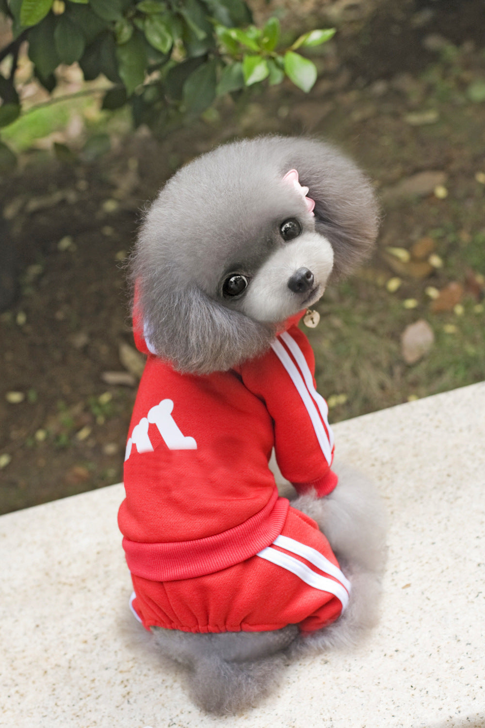 Pet Dog Jumpsuit for Small Medium Dogs - Tampa Home & Garden Store