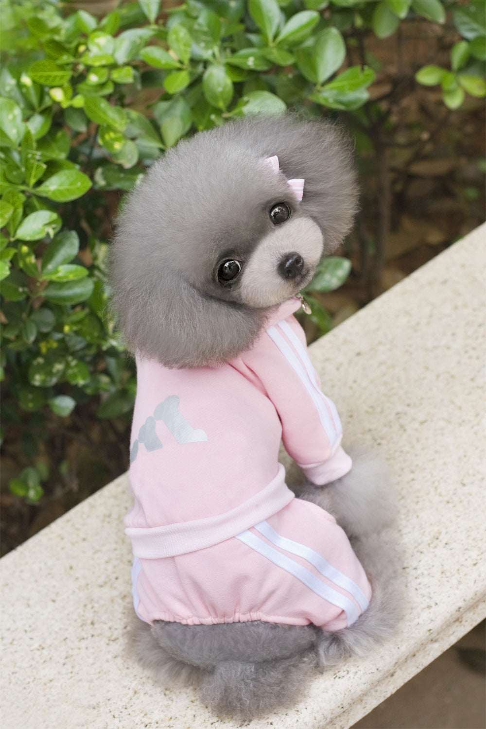 Pet Dog Jumpsuit for Small Medium Dogs - Tampa Home & Garden Store