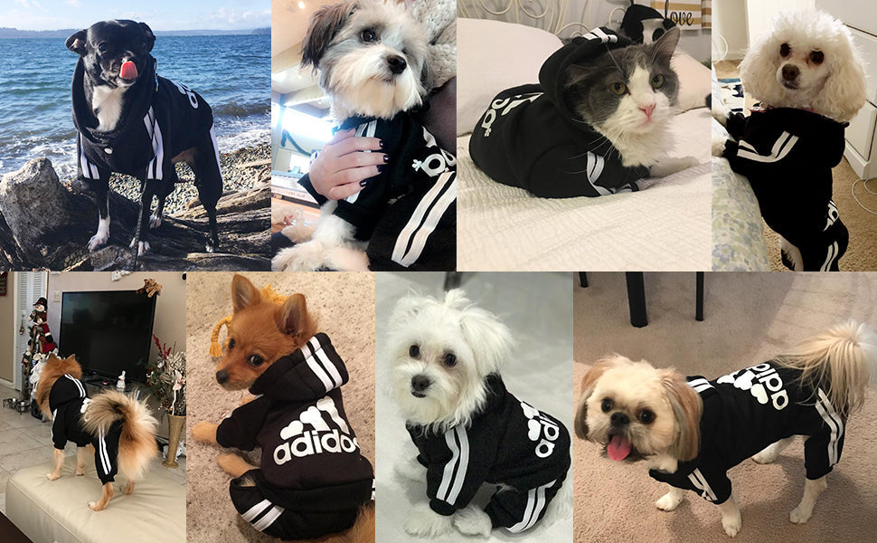 Pet Dog Jumpsuit for Small Medium Dogs - Tampa Home & Garden Store