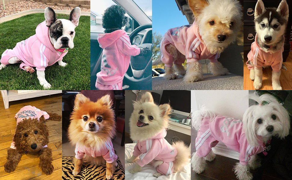 Pet Dog Jumpsuit for Small Medium Dogs - Tampa Home & Garden Store