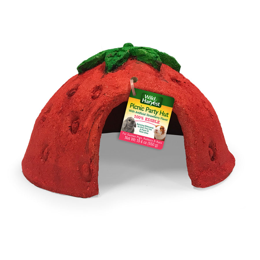 Pet Picnic Party Hut - Strawberry - Tampa Home & Garden Store